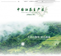 天然山茶油，健康品质生活的必需品