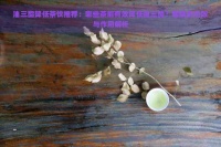 油三酯降低茶饮推荐：哪些茶能有效降低油三酯？喝茶的功效与作用解析