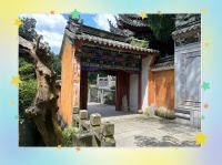 茶渣变废为宝，点亮生活