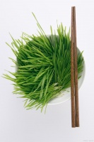 健康地活着：一点运动、良好作息、规律生活