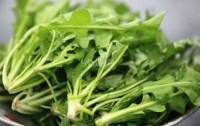 生活小常识：水荠菜的食用方法 荠菜的功效与作用