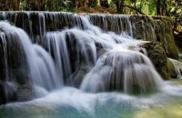 泡点茶水保护健康，茶疗养生