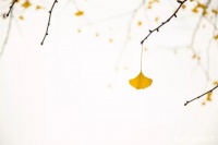 立秋：秋天来了，又想好好生活了……