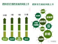 中鸿再生，科学减脂，四大平衡帮你科学管理体重——21天体脂管理