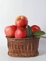 苹果：健康生活的最佳伙伴