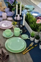 国光玉瓷 引领健康生活新时尚