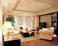 健康养生：健康的生活环境：如何选择和使用环保家居装饰？