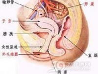 绝经后可以使用人体润滑剂过性生活吗？