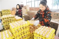 网络购物节成生活新风尚