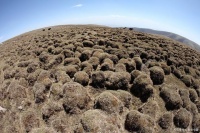 高原生活与身体健康：内地人在西藏工作长期居住的影响及养生指南
