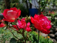 10个生活小技巧教你放松大脑神经！