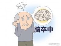 中风后的全程健康管理：合理用药与生活习惯调整