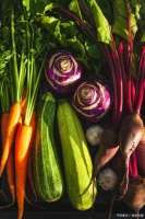 提升肝脏健康的关键方法：从日常生活做起