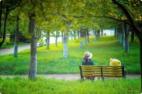 夫妻性生活片 性生活和谐带来的健康效应本文共计1273个字