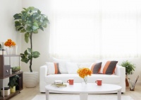 家居生活听我的，十个生活家居小常识送给你