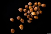 健康生活：坚果和种子对健康有何好处！