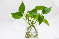 你什么身材，就过什么样的生活