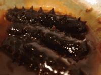 海参能抗癌？看看生活中有哪些海参的替代品