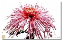 健康生活，让健康成为幸福人生的源泉