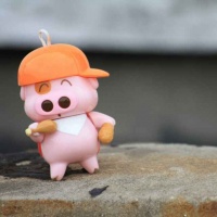 打造健康食堂，引领健康生活