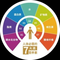 人体需要哪七大营养物质？