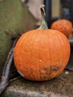 生活中哪些食物，可以辅助缓解胃酸反流、反酸、烧心难受？收藏