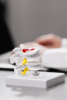 脊柱外科专家，教你脊柱疾病的生活预防小妙招