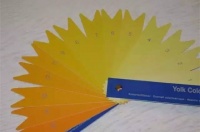 【生活百科】鸡蛋黄颜色越黄越营养？