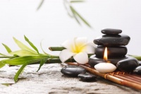 冬季养生法则：温暖自己，迎接寒冷季节的健康生活