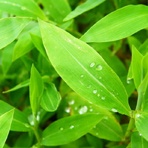 健康的生活方式对每个人都很重要用英语怎么说？健康的生活方式对每个 爱问知识人