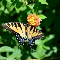 绿色低碳生活的方式有哪些