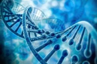 【生活研究所】“体检”第四季：家族中这13个疾病可能会影响你的健康