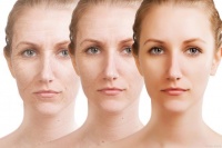 牛磺酸：打破衰老的枷锁，从食物到生活方式的全方位指南