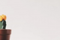 科普与生活丨科学饮食 让你吃得更健康