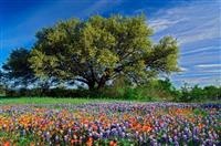 日常生活中我们应当如何保护自己的肠胃健康？