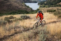 自行车运动的奥秘：健康生活的关键