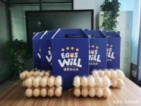 小鸡蛋托起大民生，共建和谐健康品味生活