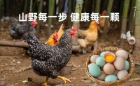 秦嶺甄硒土雞蛋品牌“一顆蛋”：吃出健康，承擔(dān)社會責(zé)任