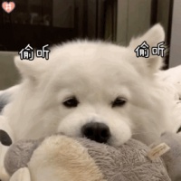 狗狗生活中有这5个表现，说明很“健康”