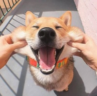 谈谈健康——生活篇