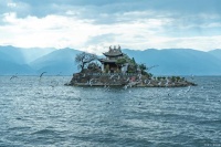 大理州：打造云南高地的绿色食品牌、绿色能源牌和健康生活目的地