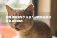 猫咪暴瘦是怎么回事？可能隐藏着哪些健康问题呢