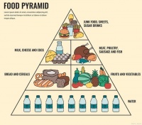 健康生活：不健康的饮食习惯中，如何通过饮食改善消化系统功能！
