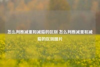 怎么判断减重和减脂的区别 怎么判断减重和减脂的区别图片