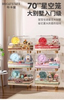 如何为仓鼠创造一个健康、舒适的生活环境？