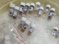 听说每个科室，都有一个四处求屎的医生？