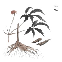 百亿电影《哪吒2》的代购药单，真能用上吗？这些药材各自又有什么疗效？