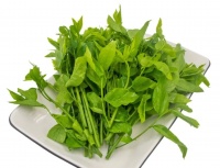 “春养肝，病不沾”！多吃5种养肝菜，舒肝活血神气足