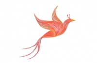 关注哪些细节能提升白癜风治疗成功率——到专业医院能系统治疗