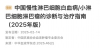 中国慢淋/小淋的诊断与治疗指南更新